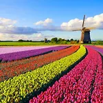 Guesthouse Voorhout * Voorhout