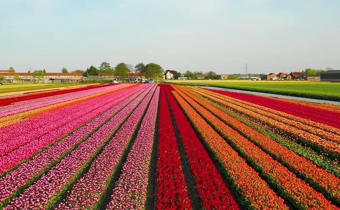 Ferienhaus Guesthouse Voorhout *