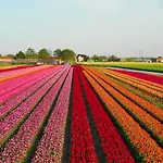 度假居 Guesthouse Voorhout *
