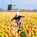 度假居 Guesthouse Voorhout Voorhout